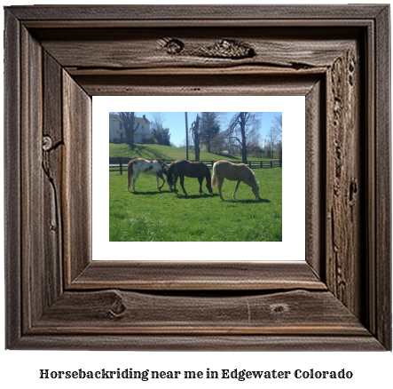 horseback riding near me in Edgewater, Colorado